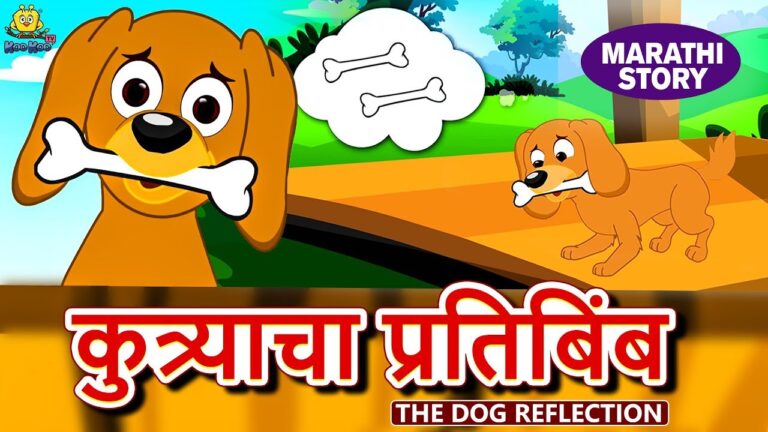 कुत्र्याचे प्रतिबिंब