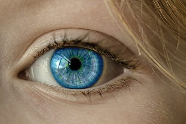 eyes